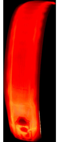 49°N 4-LED Reflective Snap On Band -Cycling Gear Store 49n 4 led reflective snap on band 373901 11